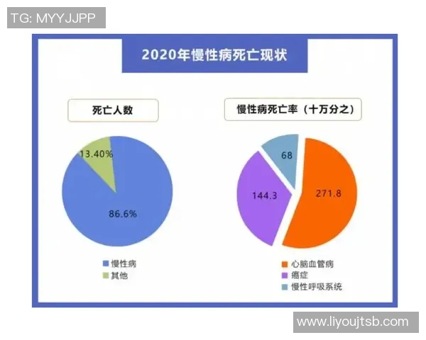 重庆排球队灵活性分析与表现评估的深度研究与探讨